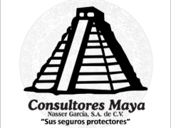 Logo Consultores Maya