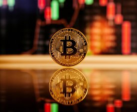 pexels-jonathanborba-14354113