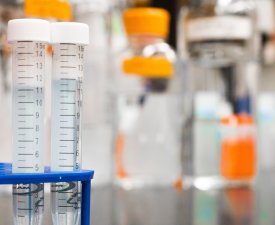 pexels-martin-lopez-954585